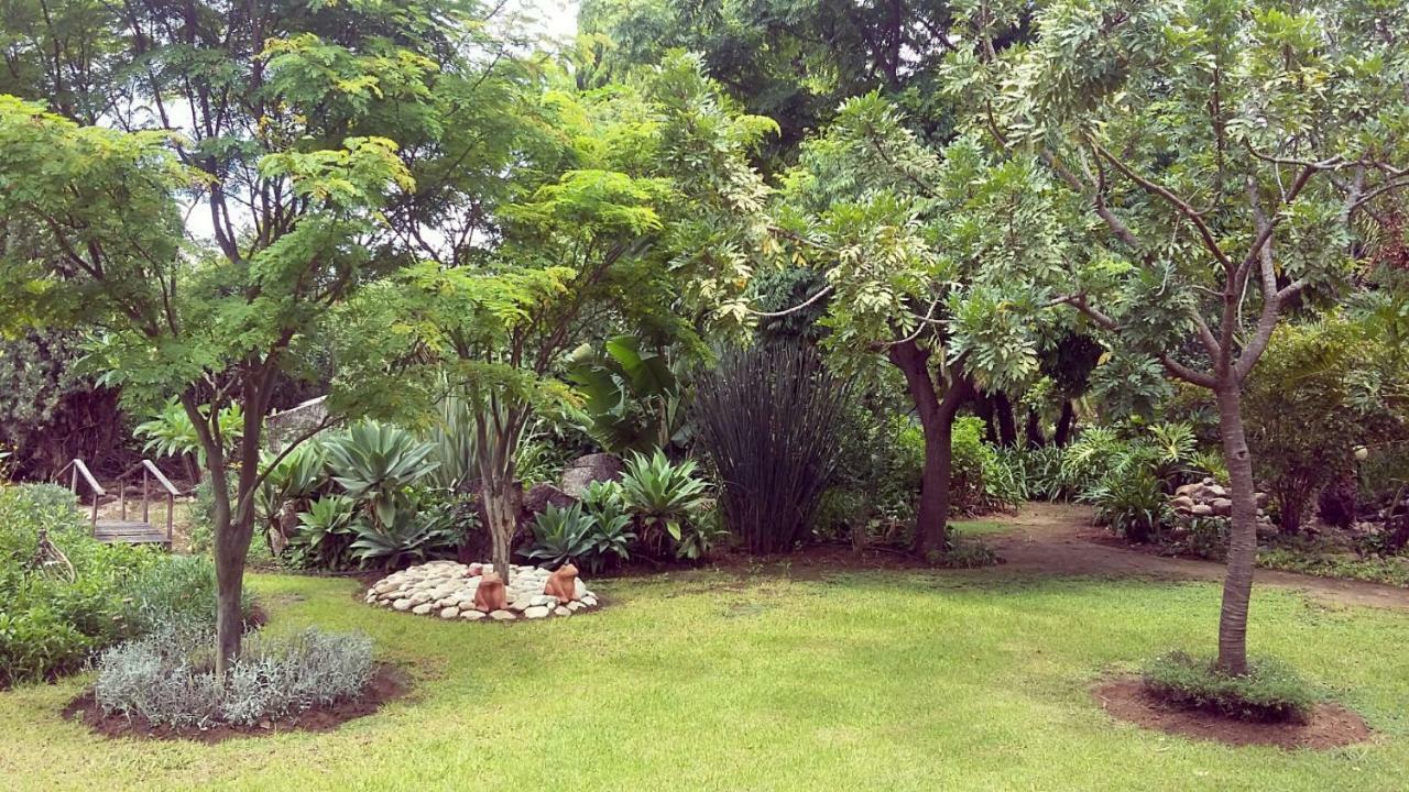 Beyond Cui Bono Guesthouse Addo Exterior photo